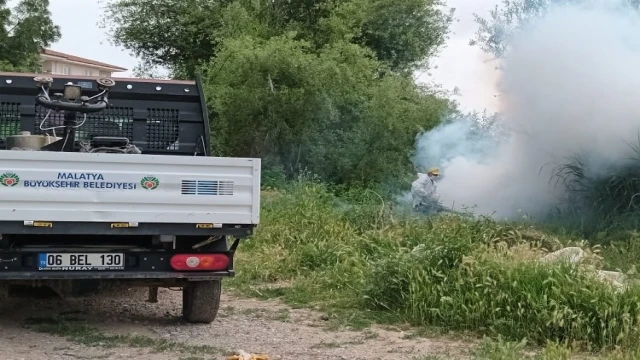 Malatya’da ilaçlama çalışmaları sürüyor