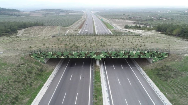 ’Ekolojik Köprü’ler yaygınlaşıyor